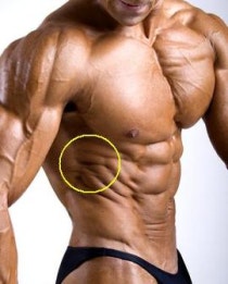 What are the effects of trenbolone