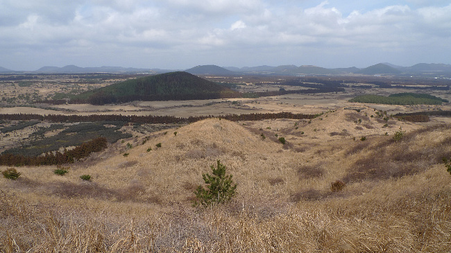 제주 가시리 갑마장길