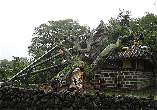 [태풍 무이파 진로변경] 태풍무이파예상진로/제주 태풍경보 발효/9호태풍무이파/태풍피해속출