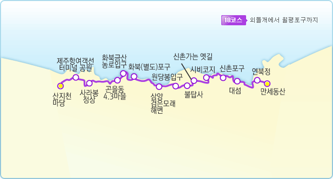 제주도 올레길 정보
