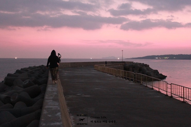 씨네룩] 탐라도다 6. 제주의 붉고 푸른 밤