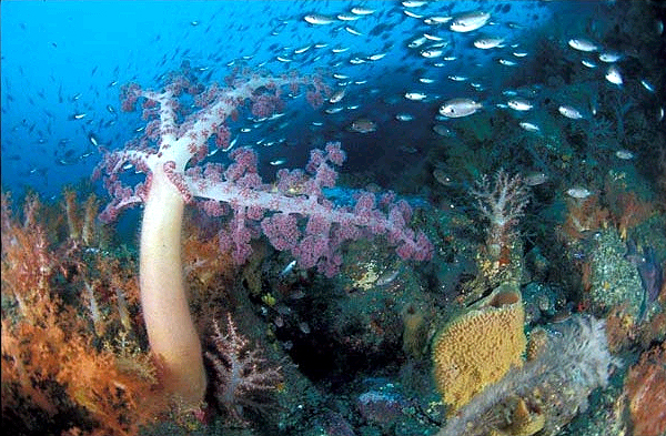 제주도 범섬 앞바다