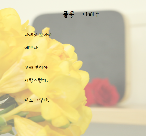 풀꽃 이미지