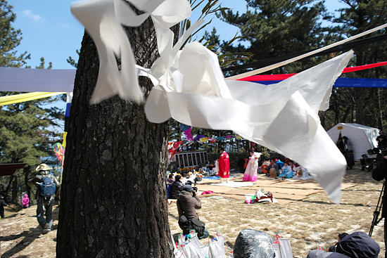 〔제주축제〕2013 제주 칠머리당 영등굿