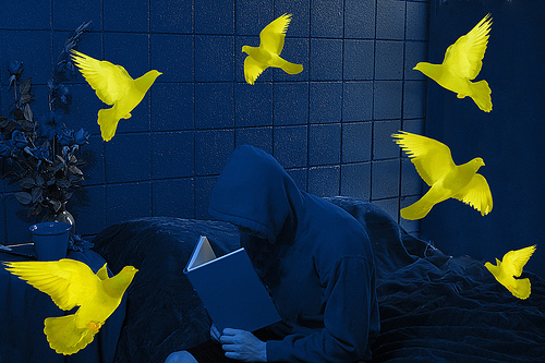 Photographer 75 샌디 스코글런드 Sandy Skoglund 네이버 블로그