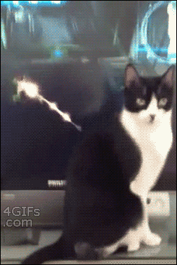 tumblr_ml89kaev961qdlh1io1_250.gif?type=w420