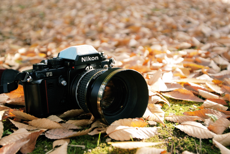 한 번 재미에 들리면 돈이 어마어마하게 깨지는 취미 | 인스티즈