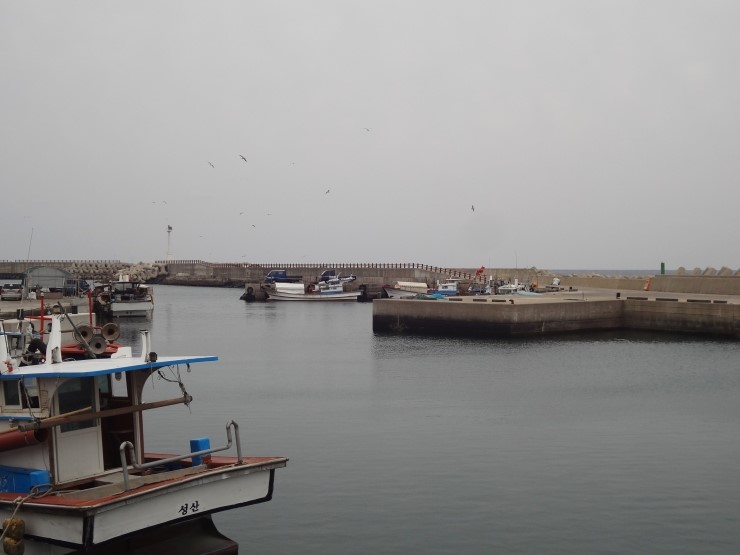 2014년 3월 성산읍 / 천미천 하구~신천리포구