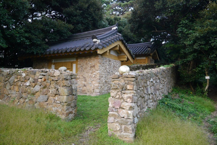 >다도해상국립공원<신안 흑산도 신들의 정원(진리 당숲, 진리 초령목 자생지)...전남 신안군