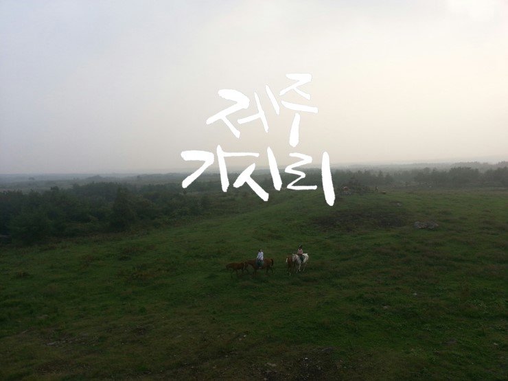 (캘리그라피) 제주 추억_가시리 조랑말 체험공원