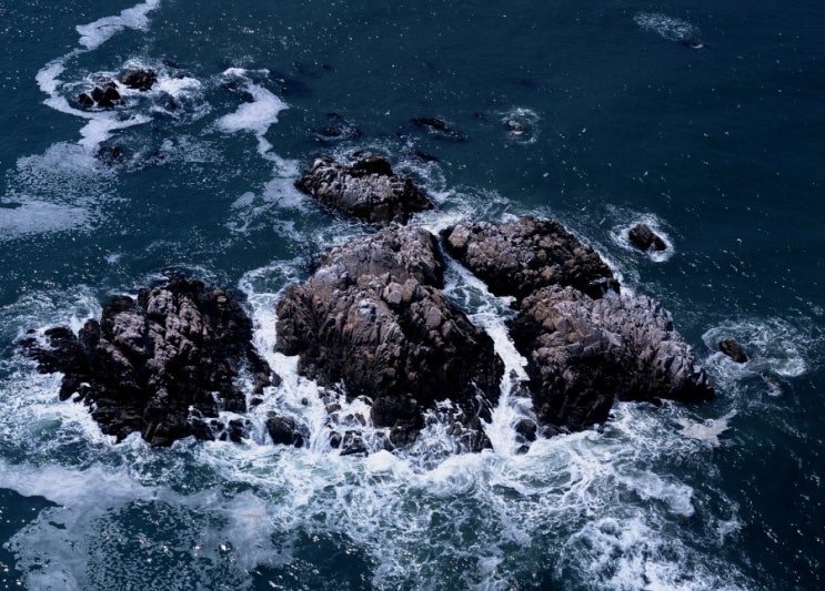 '대왕암?' '수중릉?' '문무왕릉?' 이제는 헷갈린다.