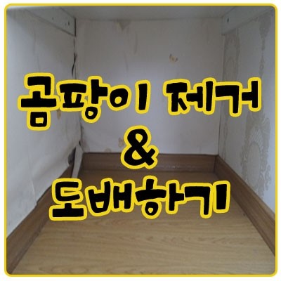 곰팡이 제거 및 셀프 도배 방법 벽지 제거 도배 풀 만들기 네이버 블로그