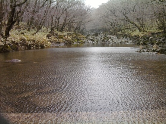제주사랑 비가 온 뒤 사려니 숲길(천미천)
