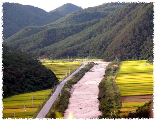 한국의 美(21)-농토(2)