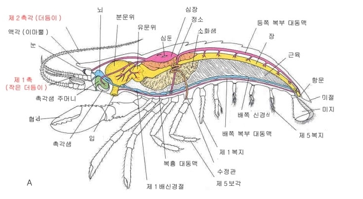 ê°ê°ìë¬¸ì ëí ì´ë¯¸ì§ ê²ìê²°ê³¼