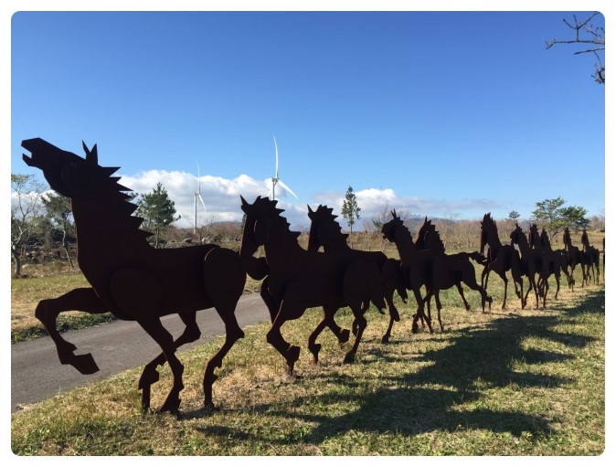 12월제주/가시리풍력단지,유채꽃프라자