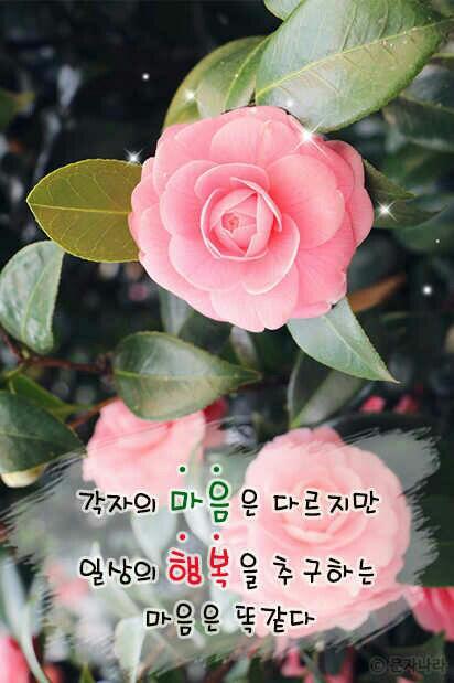 놀 이미지