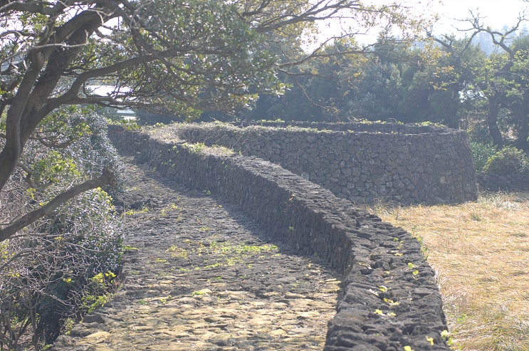 제주도 산책로, 성읍민속마을 걷고 찍고 보고