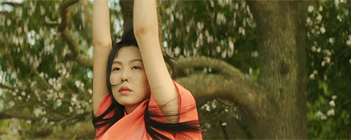 attachImage_2229975482.gif?type=w800