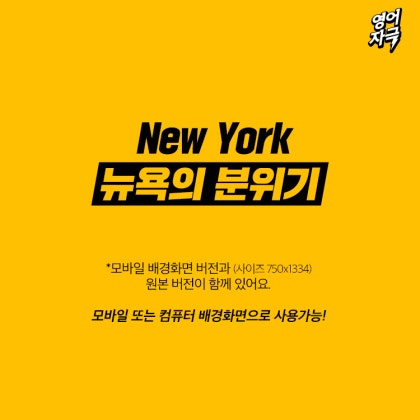뉴욕의 분위기 선명하게 상상하게 R Vd Realization Vivid Dream 네이버 블로그