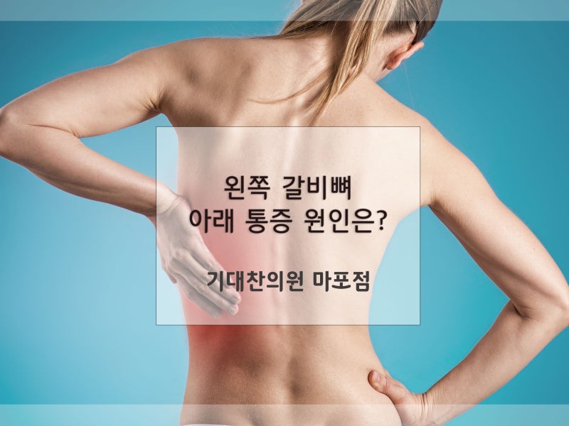 왼쪽 갈비뼈 아래 통증의 원인 대장암 과민성대장증후군 지라비대증 장염 급성위장염 급성췌장염 네이버 블로그