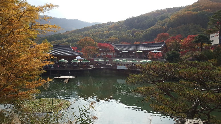 화담숲과 남한 산성