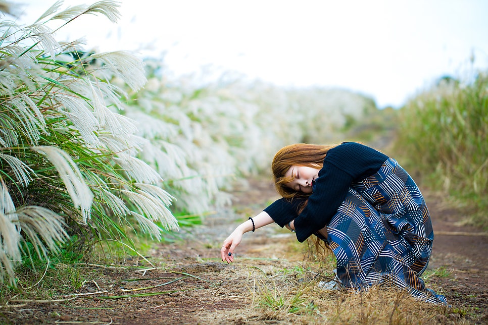 따라비오름 억새 절정!! 제주 오름 추천 0순위