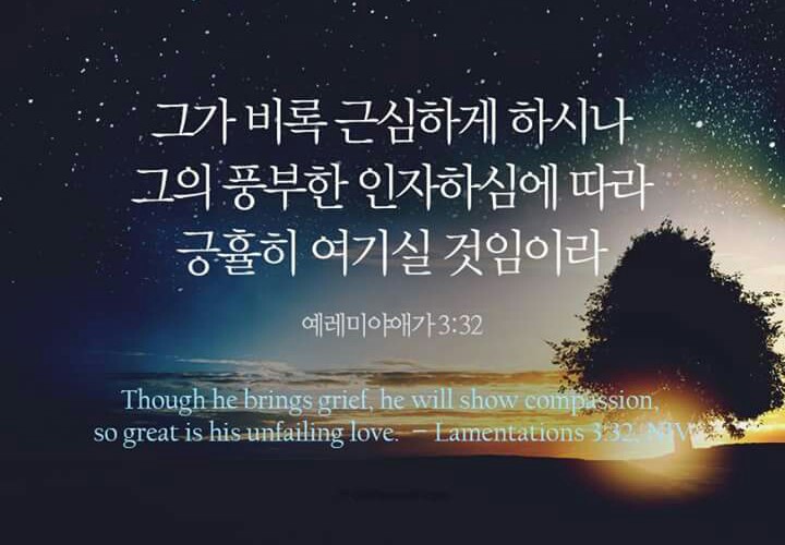 애가 이미지