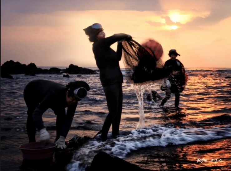 제주해녀, 인류무형문화유산 등재!! 제주해녀문화 '세계의 가치'되다