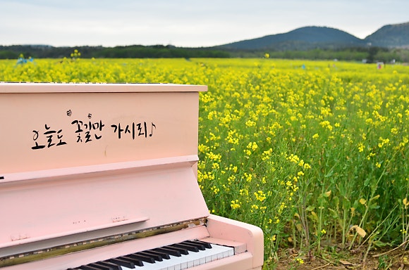 제주 가시리 마을 (2)