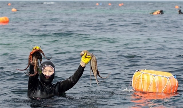5월 황금연휴, 추천 국내 여행지