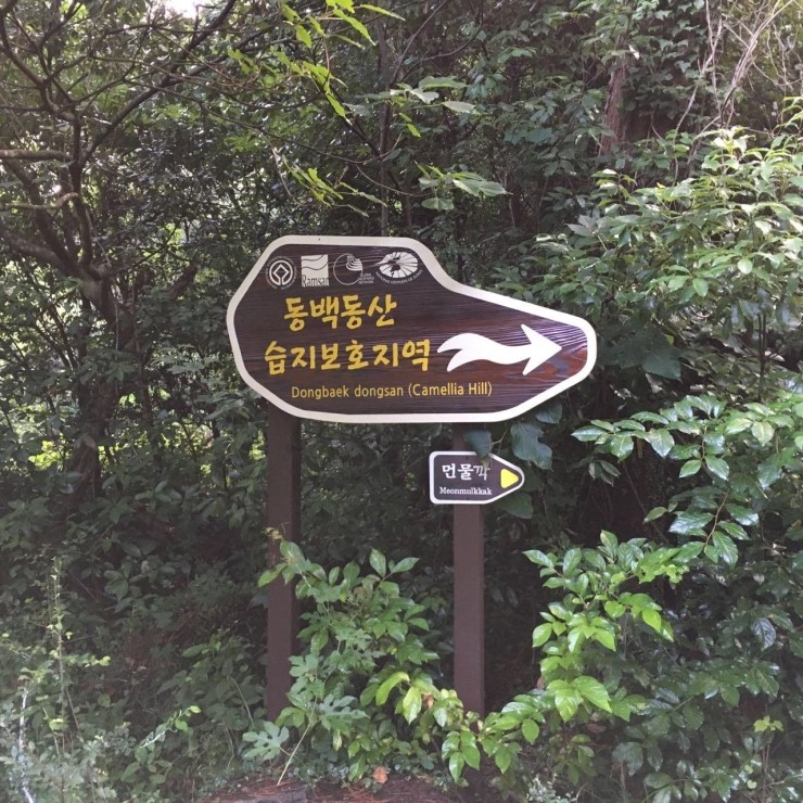 오름길벗 게스트하우스 동백동산(선흘리 곶자왈) 곶자왈투어