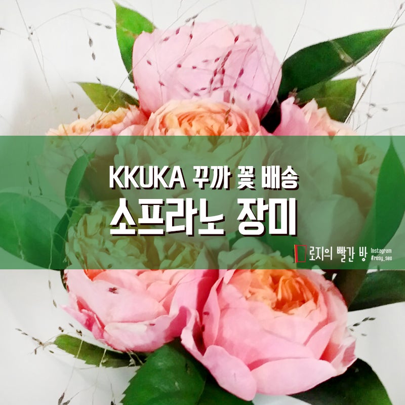 Ê½ Êµ¬ë Ìë¹ì¤ Kkuka Ê¾¸ê¹ Ìì¦ë Íë¼ì Ìíë¼ë¸ Ì¥ë¯¸ Ì²« Ë°°ì¡ Íê¸° Ë¤ì´ë² Ë¸ë¡ê·¸ 그 시즌 가장 예쁜 꽃을 받아보는 꽃 정기구독. ë¤ì´ë² ë¸ë¡ê·¸