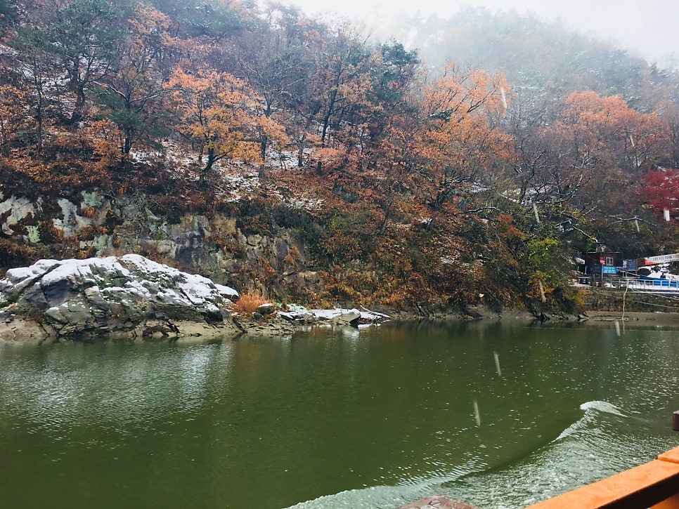 충남카 이미지