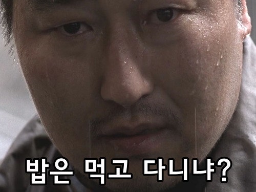강릉 꼬막밥과 소고기해장국 맛집 밥은먹고다니냐 네이버 블로그